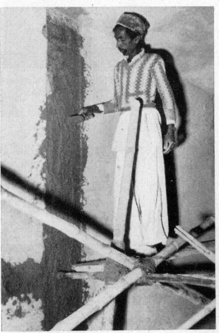 Karachi Partridge?? Pakistani workman